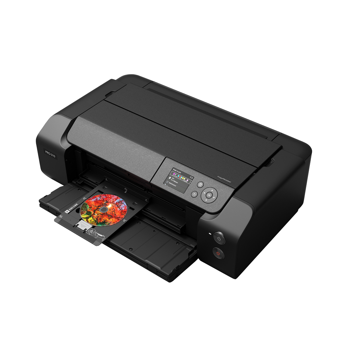 Canon Image Prograf Pro-310