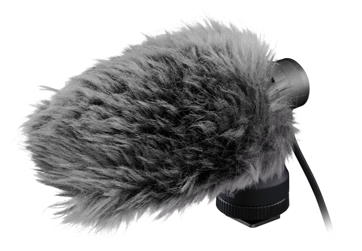 CANON DME100