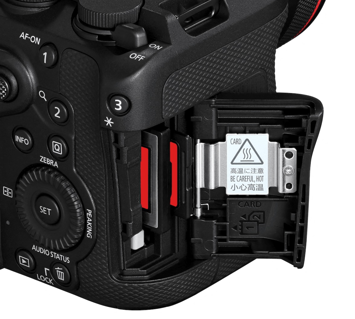 Canon EOS R6V Gehäuse